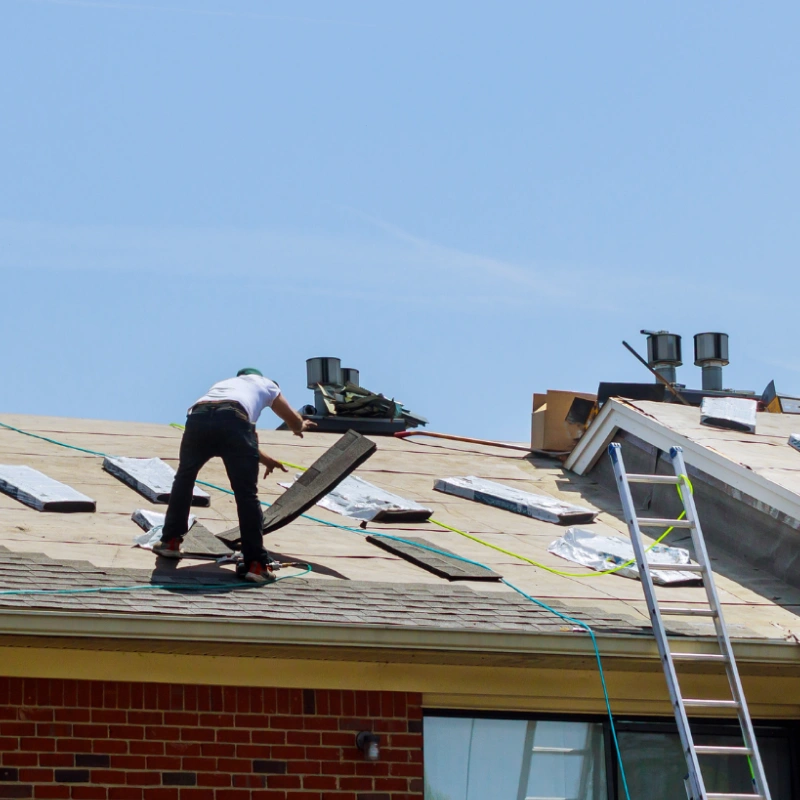 Roof Replacement